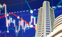 “全力以赴”稳外贸，今年在哪些领域下功夫？